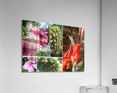Plants Acrylic Print