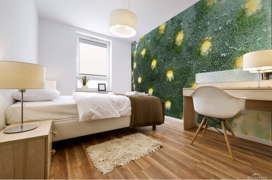 CACTUS3 Mural print