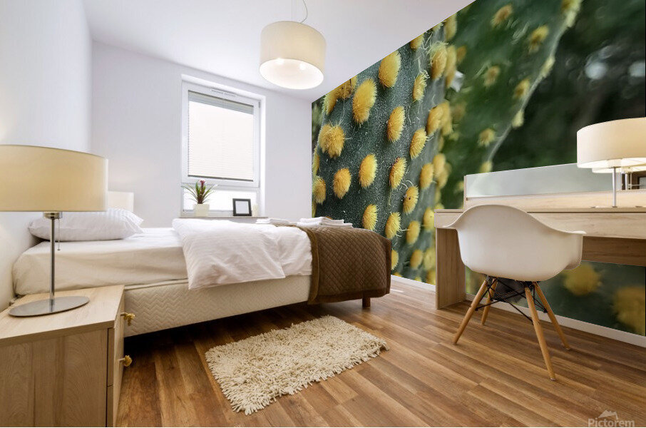Cactus lovers Mural print