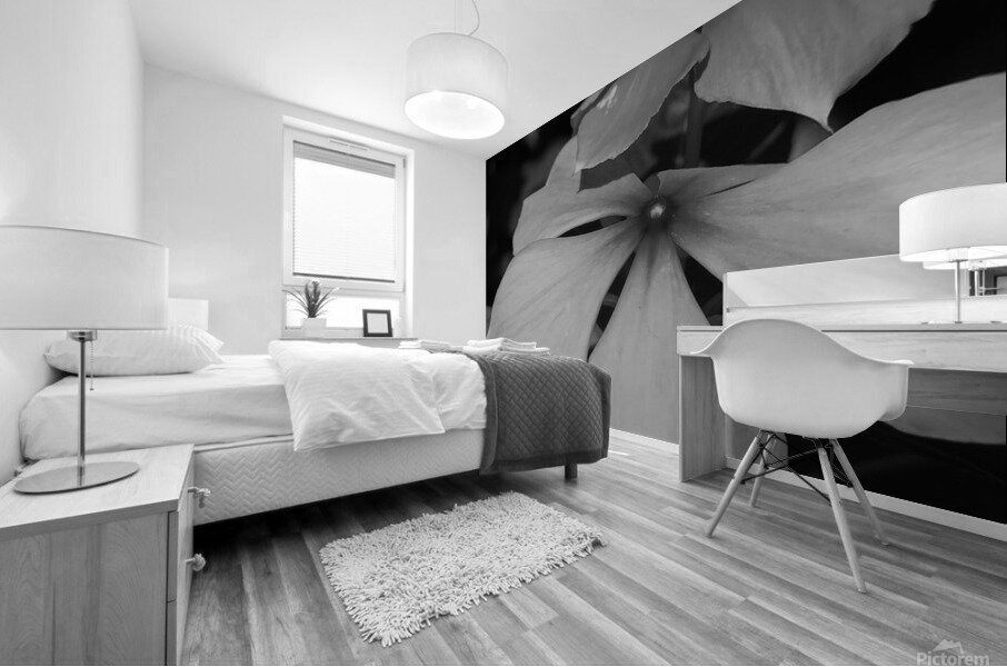 black and white Mural print