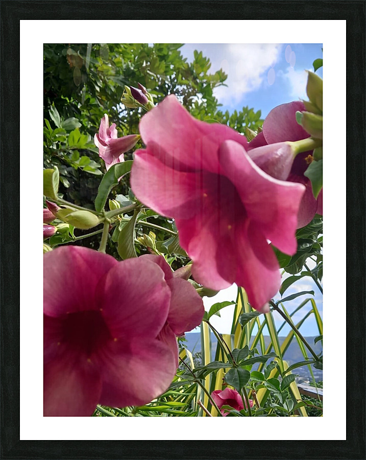 beauty Picture Frame print