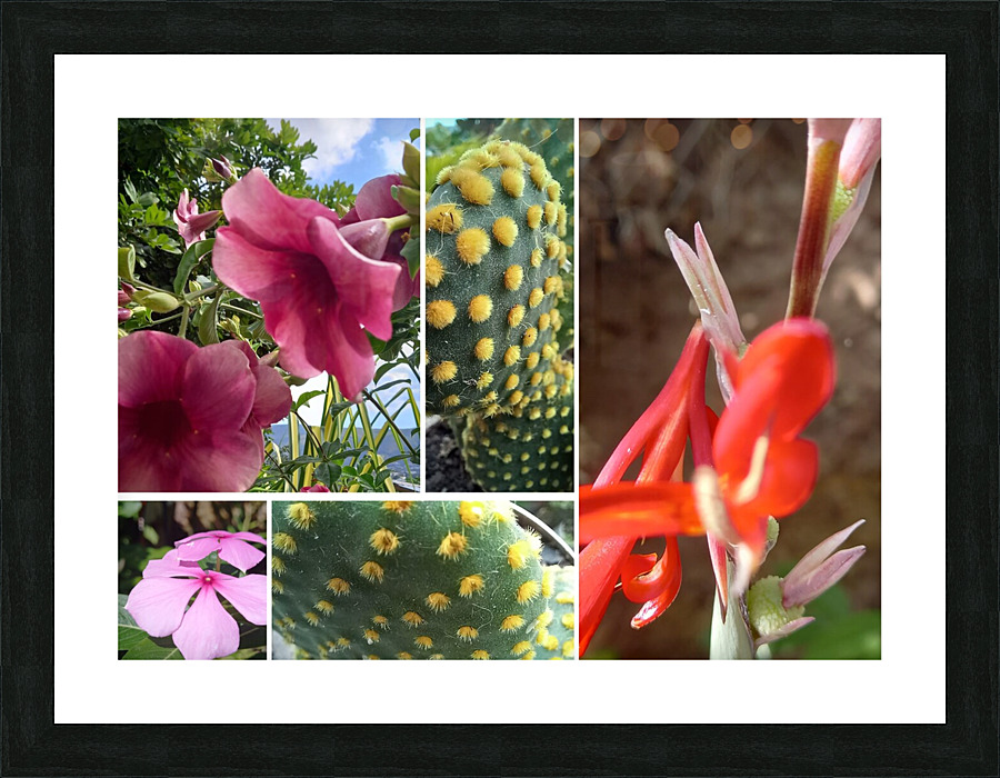Plants Picture Frame print