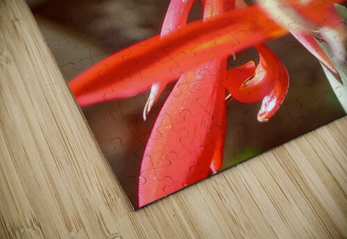 dragon Nathlee R Grant puzzle