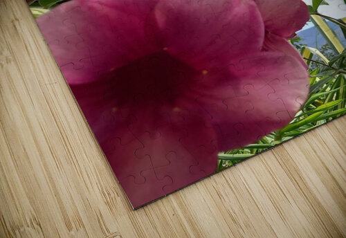 beauty Nathlee R Grant puzzle