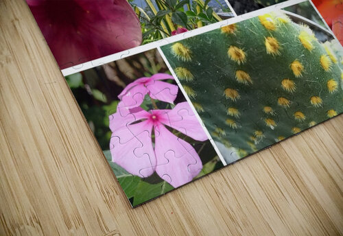 Plants Nathlee R Grant puzzle