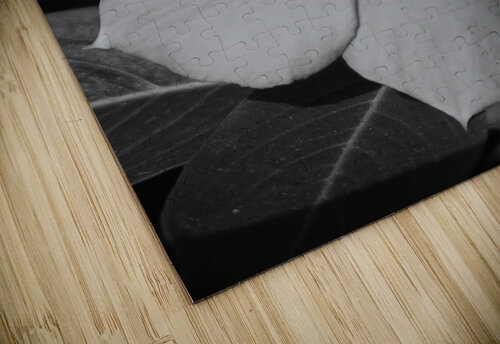 black and white Nathlee R Grant puzzle