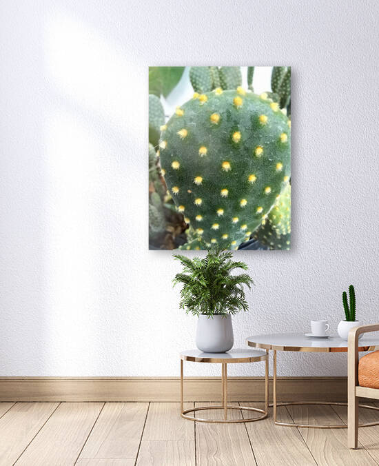 CACTUS3 by Nathlee R Grant