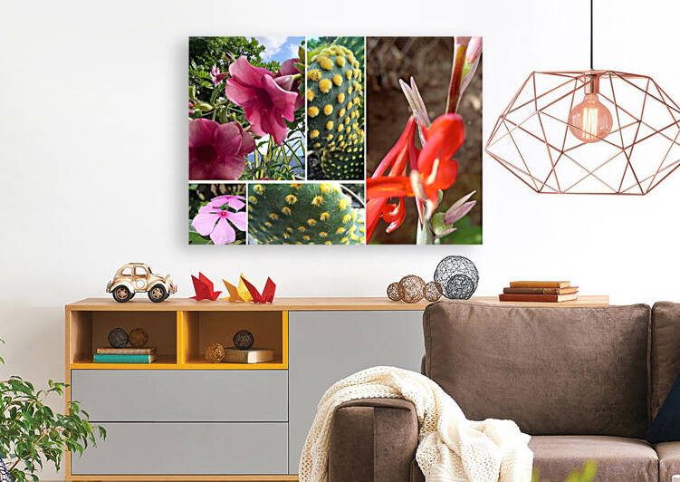 Plants by Nathlee R Grant