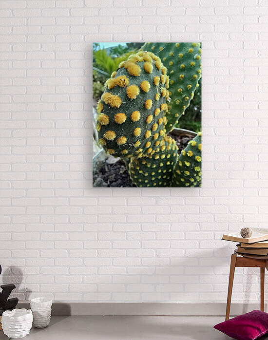 Cactus lovers by Nathlee R Grant