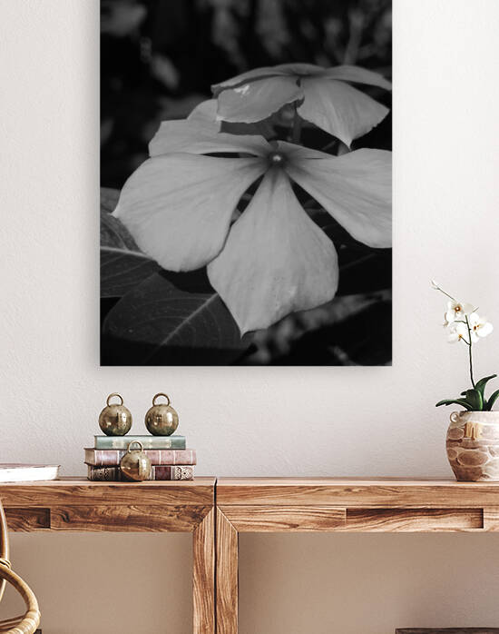 black and white by Nathlee R Grant