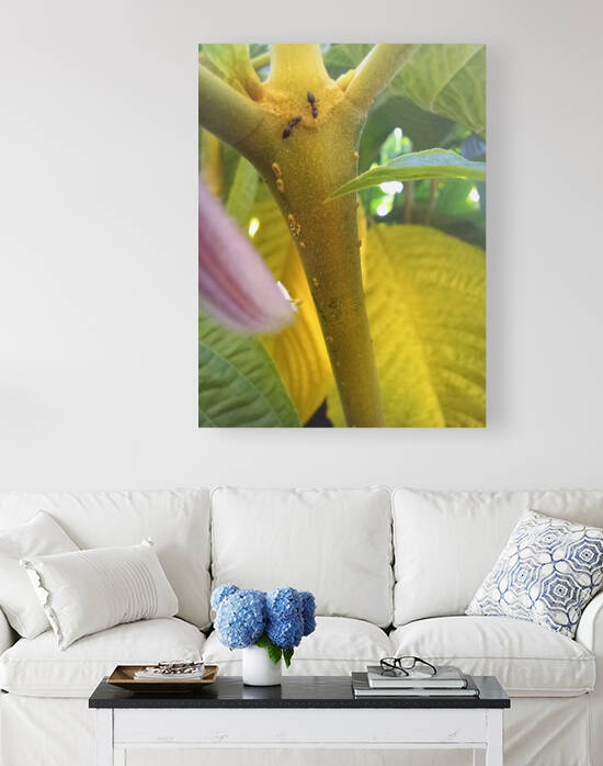Antz world by Nathlee R Grant