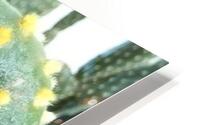CACTUS3 HD Metal print