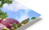 beauty HD Metal print