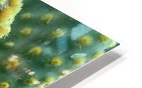 Cactus lovers HD Metal print