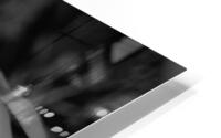 black and white HD Metal print
