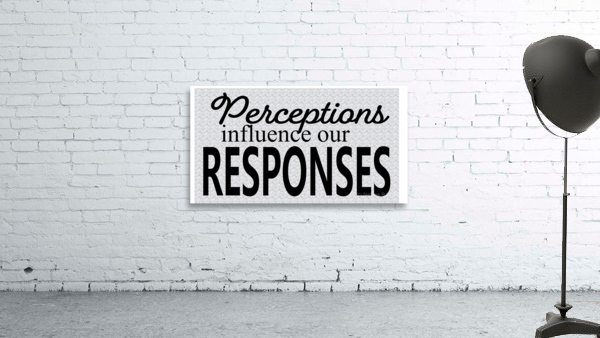 PERCEPTION Wall Preview
