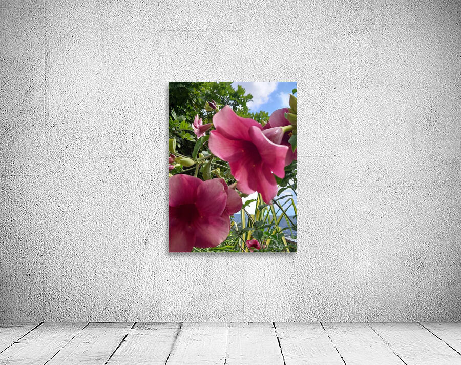 beauty Wall Preview