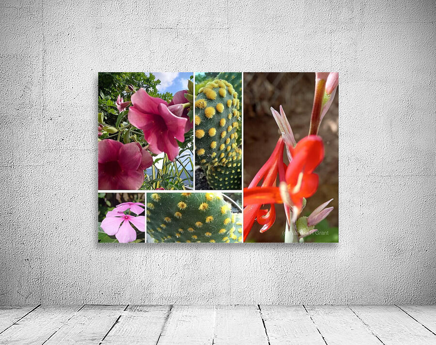 Plants Wall Preview
