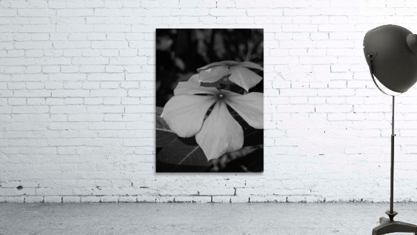 black and white Wall Preview
