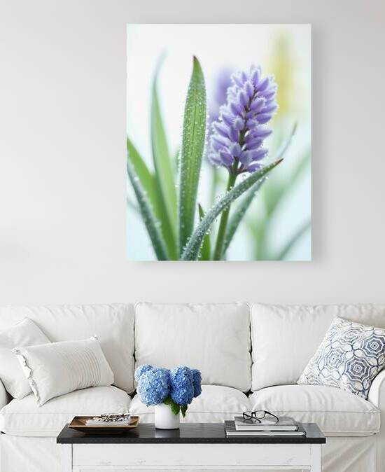 Serenity in Lavender 6 by yasserzaki