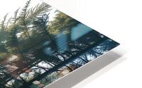 Sunlit Pine Forest 2 HD Metal print