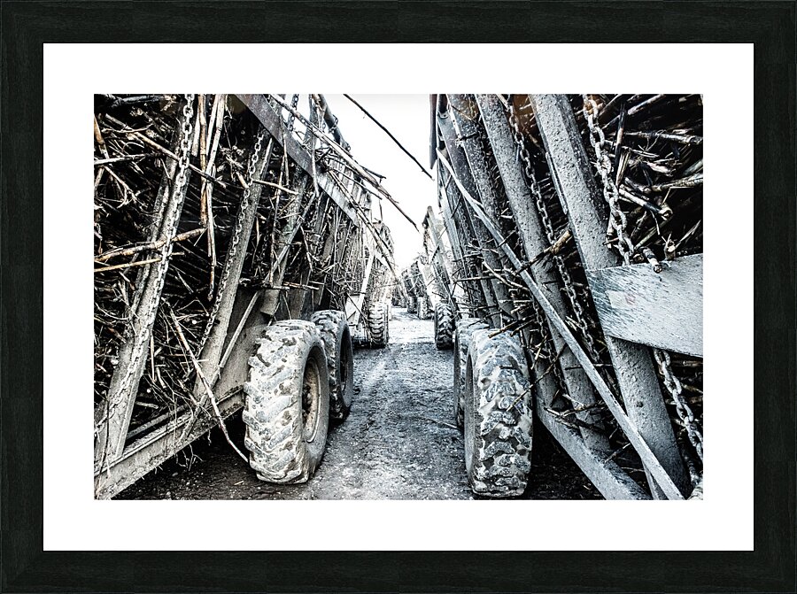 stJohnMill bins  2 Picture Frame print