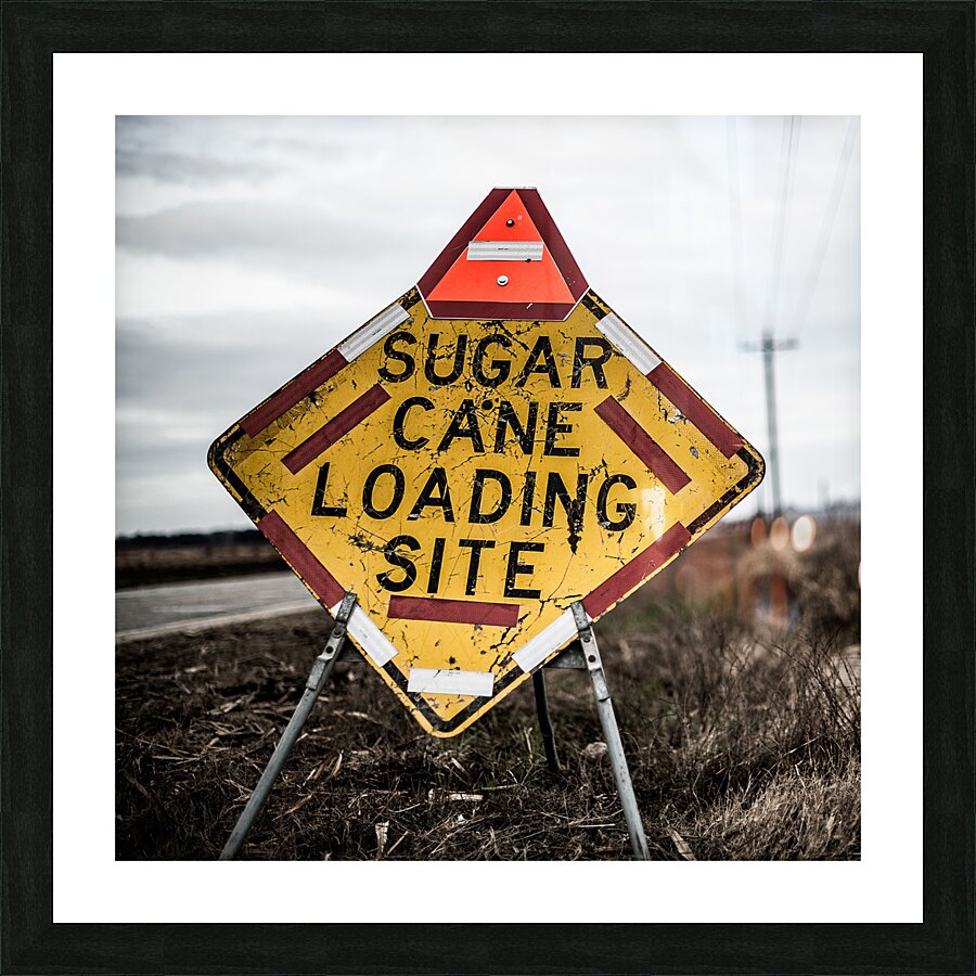 SugarcaneLoadingZone metal Picture Frame print