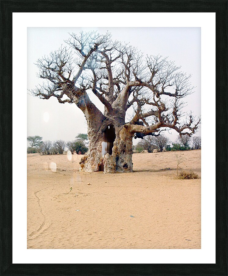 Resting Griot Picture Frame print