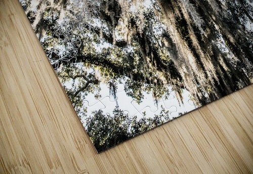 stJohnOakTree The Blank Collective puzzle