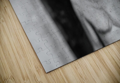 hechoEnCuba 3 The Blank Collective puzzle