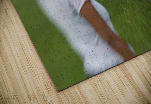 theMangoTree The Blank Collective puzzle