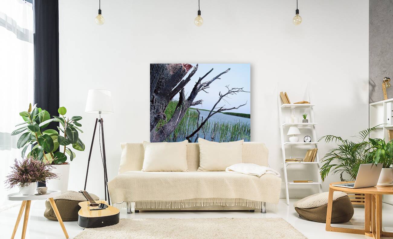 Marsh Land Reproduction