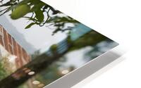 theMangoTree HD Metal print