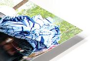 Solo HD Metal print