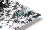 Titan HD Metal print