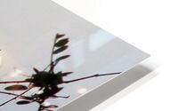 Broken Down HD Metal print