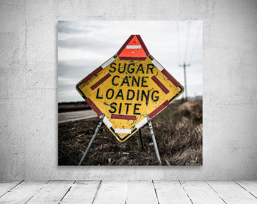 SugarcaneLoadingZone metal Wall Preview