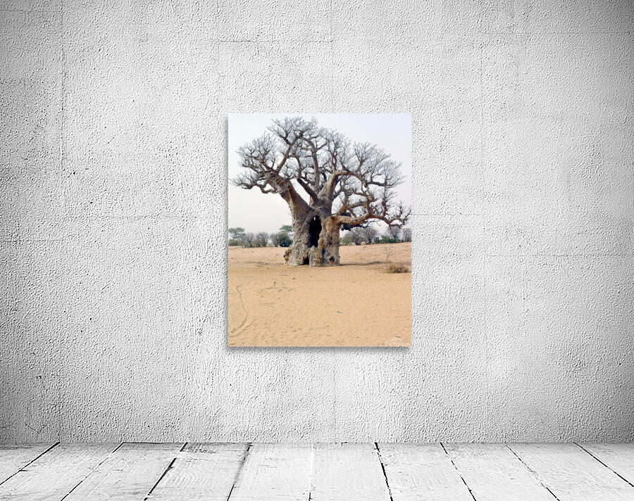 Resting Griot Wall Preview