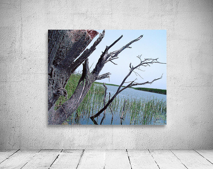 Marsh Land Wall Preview