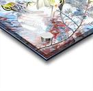 Rose Breasted Grosbeak c.1830 dig imp2 Acrylic print