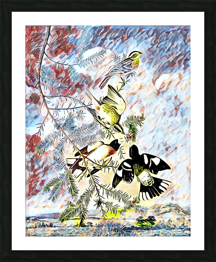 Rose Breasted Grosbeak c.1830 dig imp2 Picture Frame print