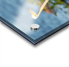 DSC02655 Acrylic print