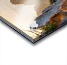 DSC02928 Acrylic print