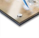 DSC00890 Acrylic print