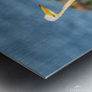 DSC02655 Metal print