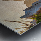 DSC02928 Metal print