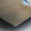 DSC00890 Metal print