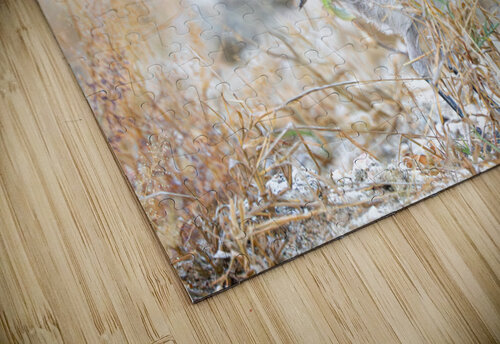 DSC00890 Luisa Torre puzzle