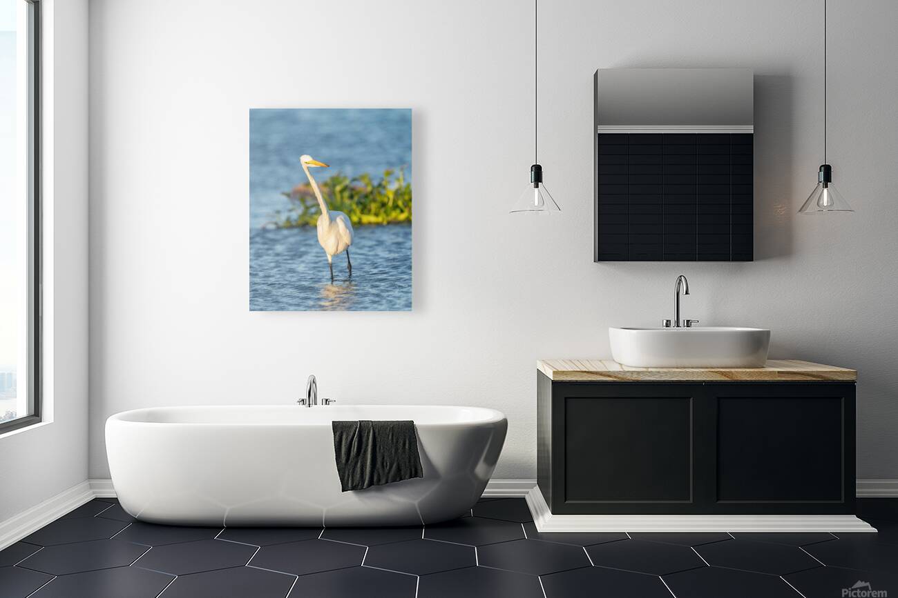 DSC02655 Reproduction