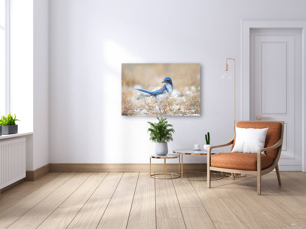 DSC00890 Reproduction